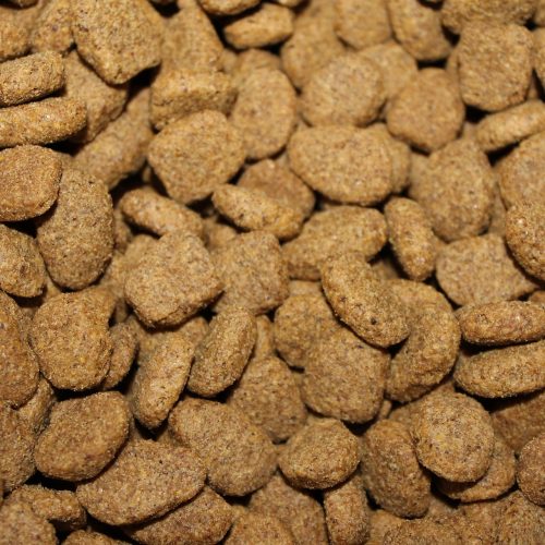 Pet Food Pet Food