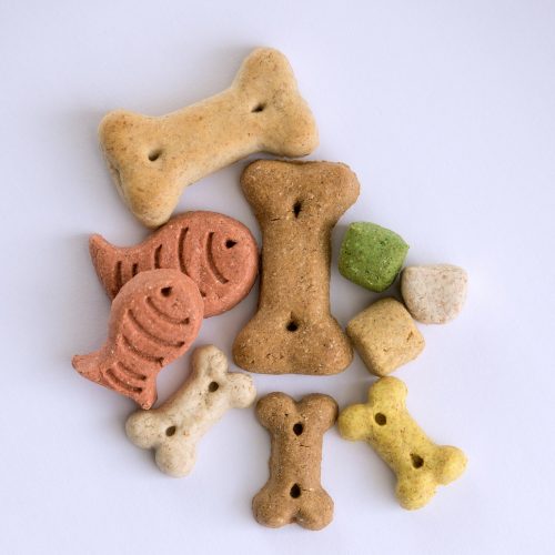 Dog Biscuits Dog Biscuits